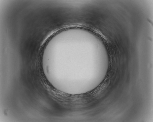 X0000099431256200805090719