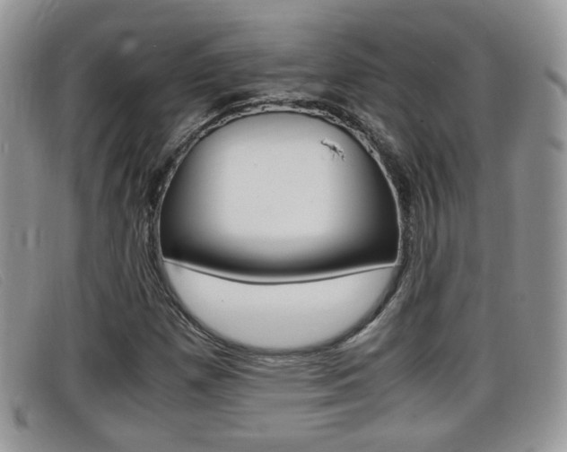 X0000099431257200805090719