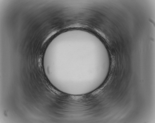 X0000099431258200805090719