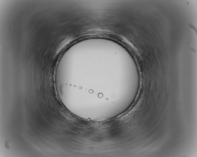 X0000099431259200805090719