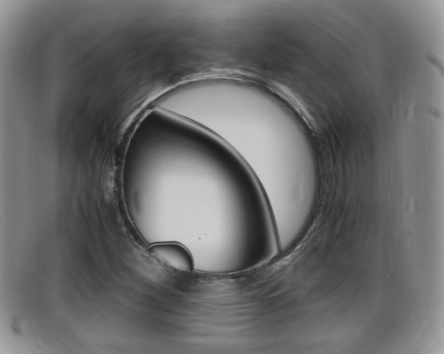 X0000099431260200805090719