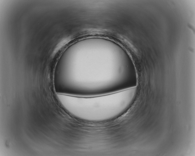 X0000099431261200805090719