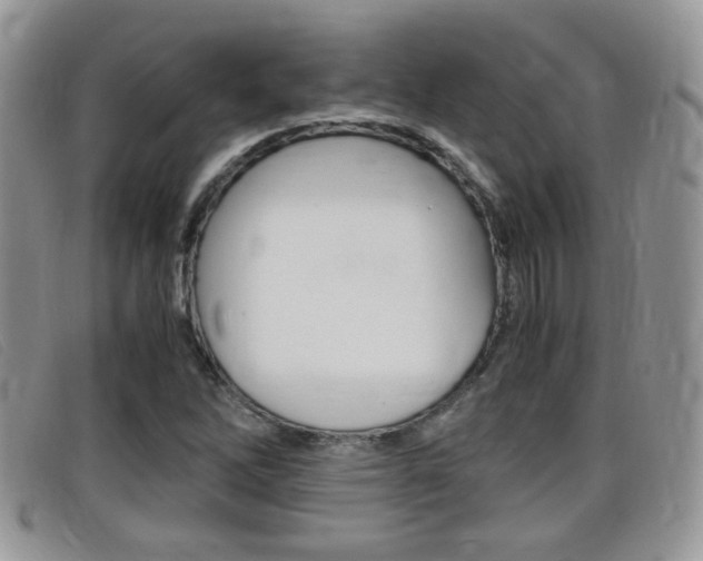 X0000099431262200805090719