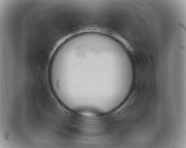X0000099431264200805090719