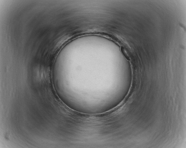 X0000099431265200805090719