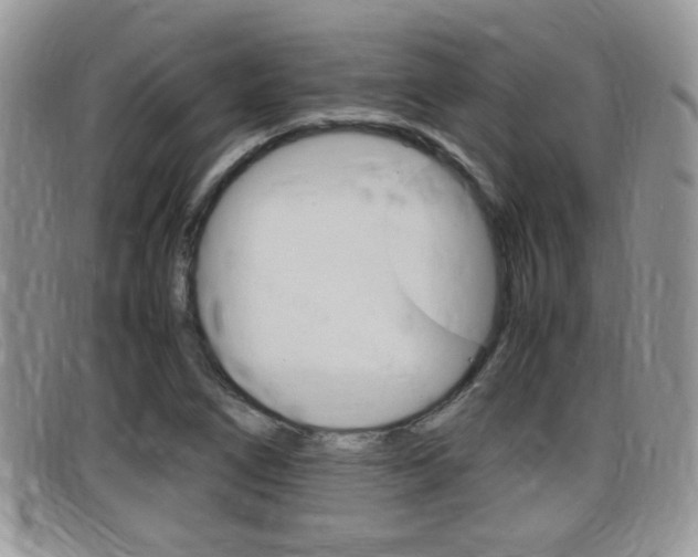 X0000099431266200805090719