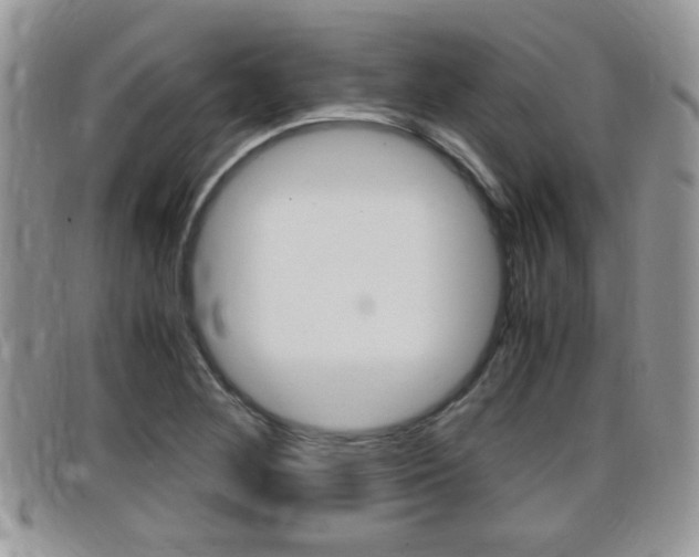 X0000099431268200805090719