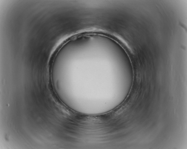 X0000099431270200805090719