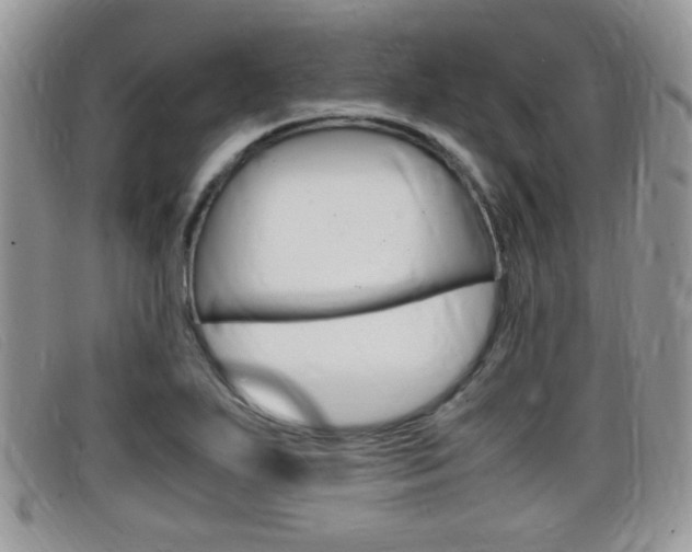 X0000099431271200805090719