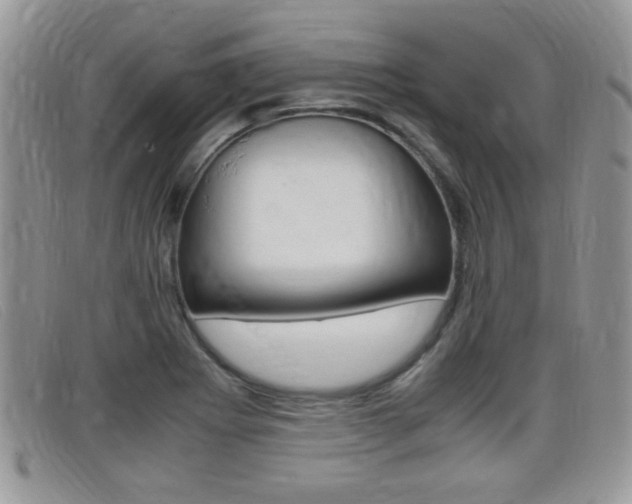 X0000099431273200805090719