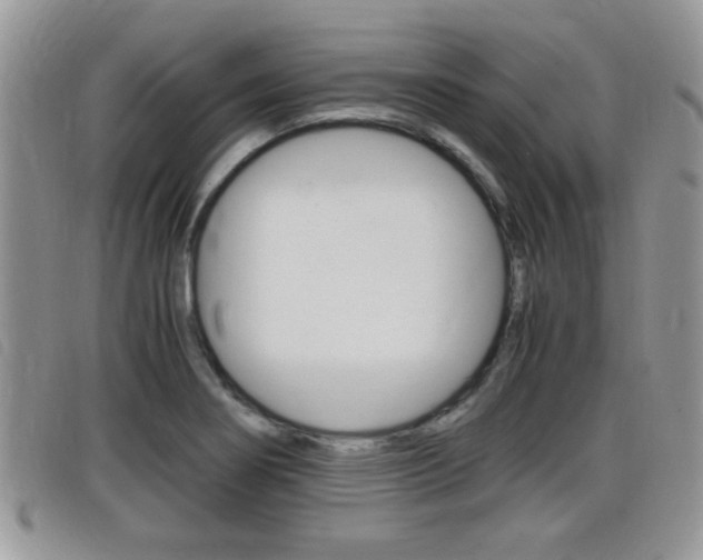 X0000099431274200805090719