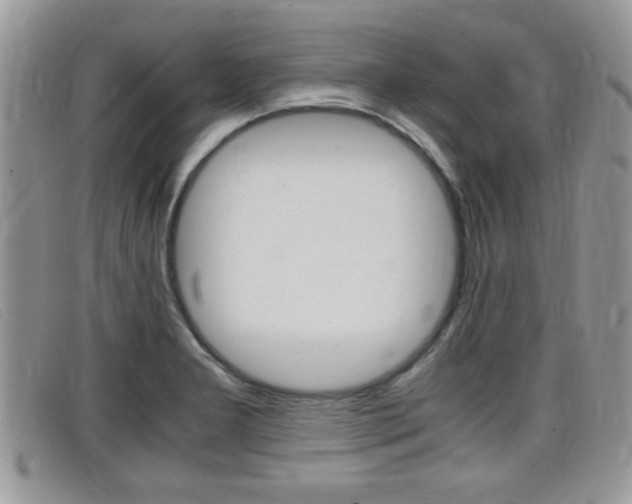 X0000099431277200805090719