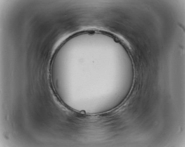 X0000099431279200805090719