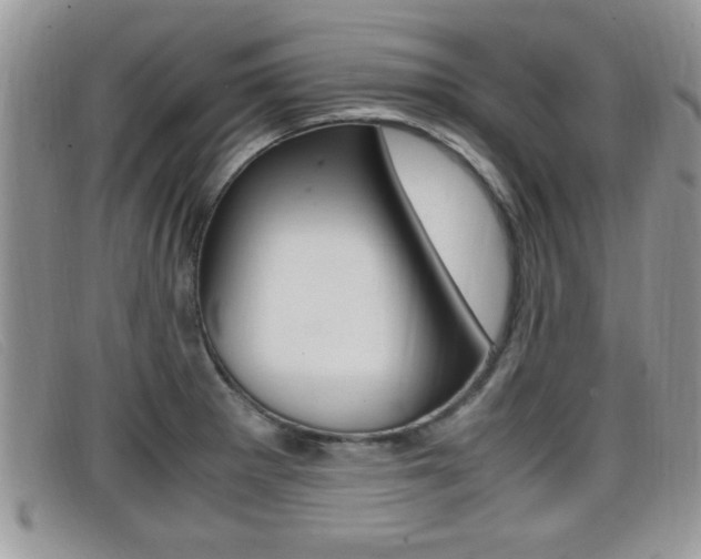 X0000099431281200805090719