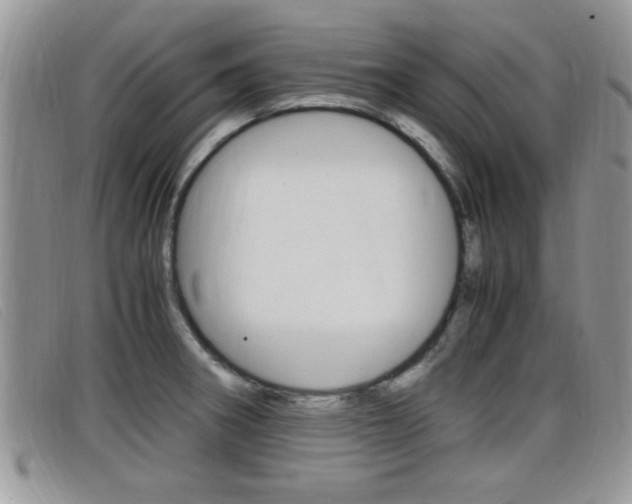 X0000099431282200805090719