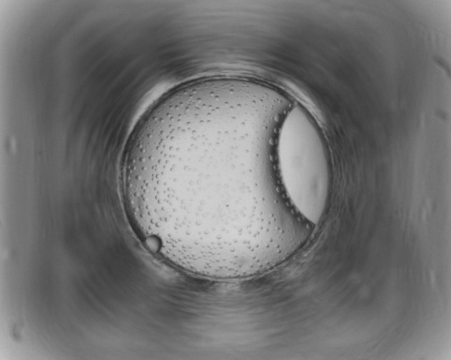 X0000099431283200805090719