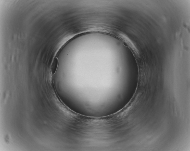X0000099431284200805090719