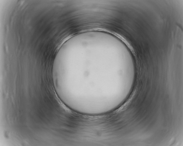 X0000099431289200805090719