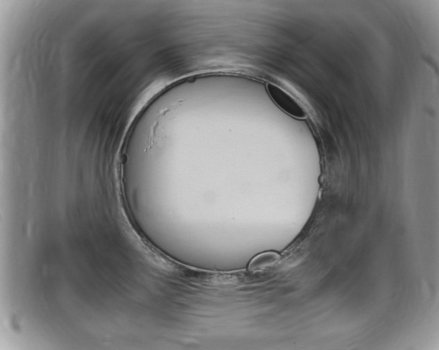X0000099431291200805090719
