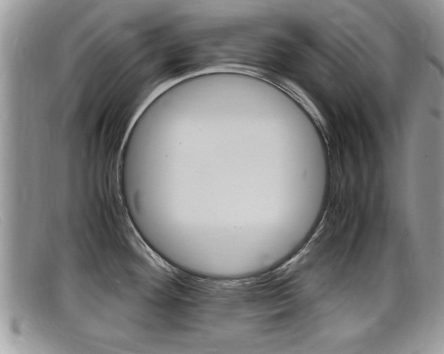 X0000099431292200805090719