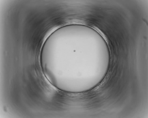 X0000099431293200805090719