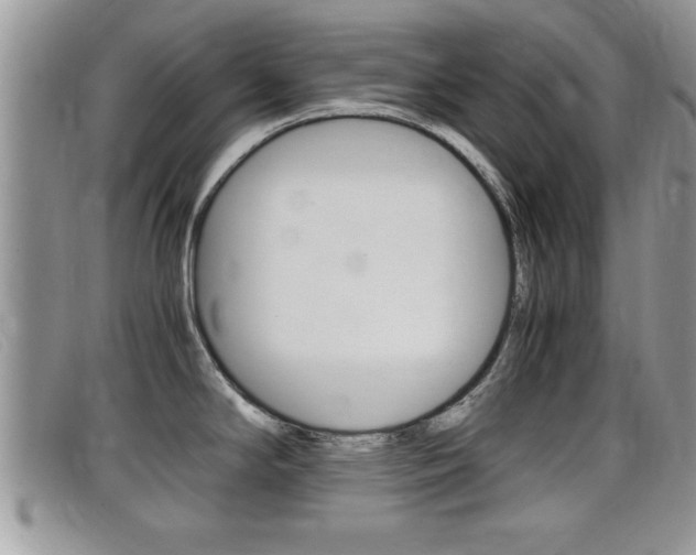 X0000099431294200805090719