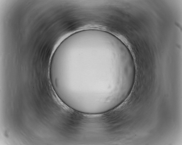 X0000099431296200805090719