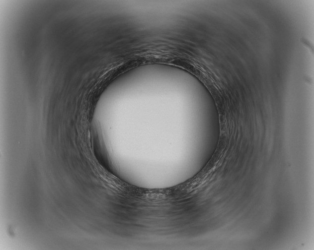 X0000099431297200805090718