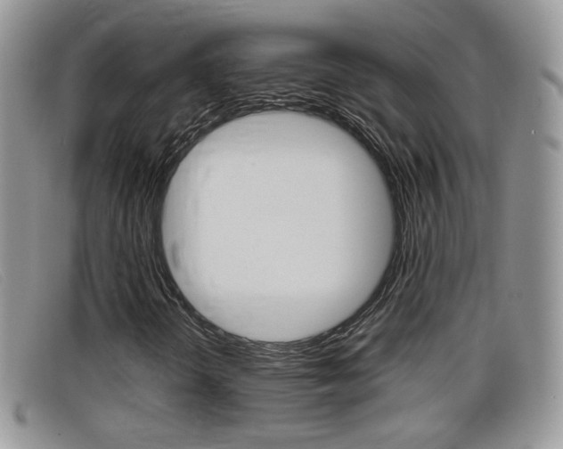X0000099431298200805090718