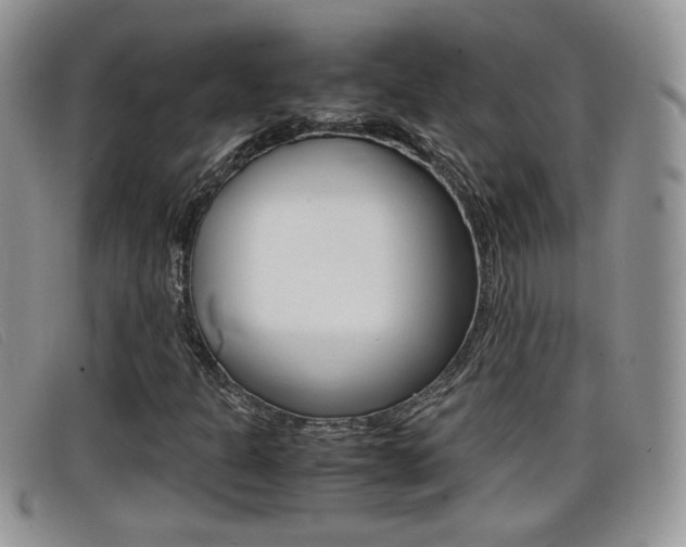 X0000099431301200805090718