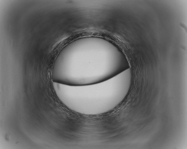 X0000099431302200805090718