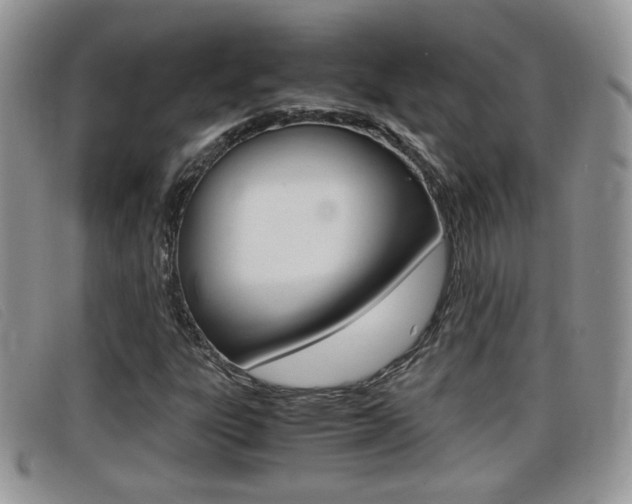 X0000099431303200805090718