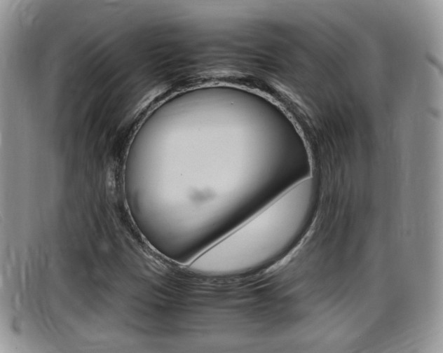 X0000099431305200805090718