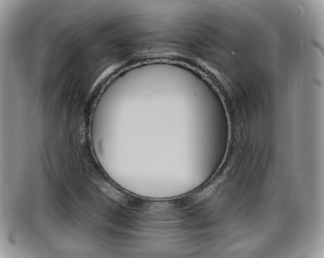 X0000099431306200805090718