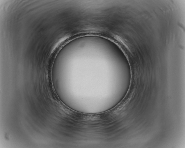X0000099431307200805090718