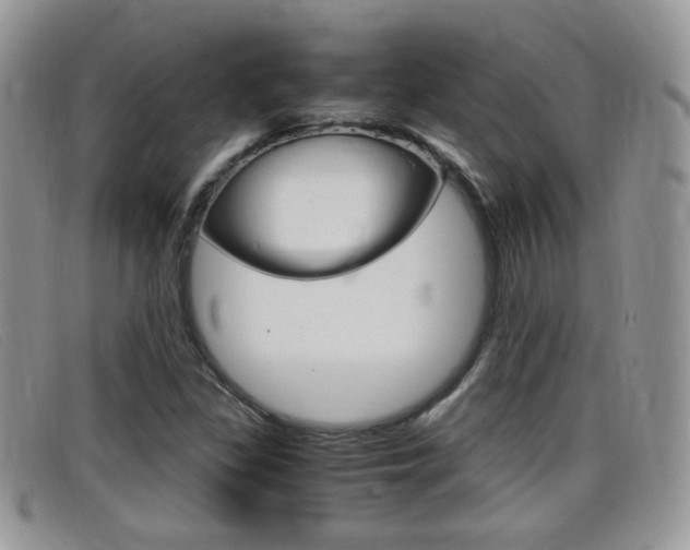 X0000099431309200805090718