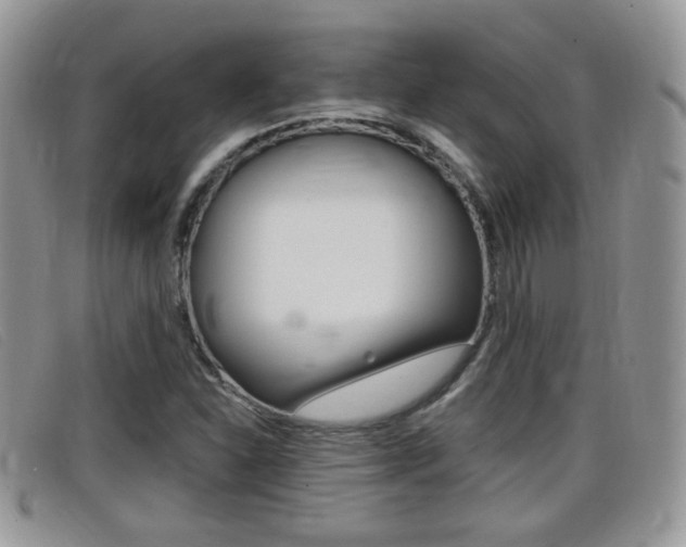 X0000099431310200805090718
