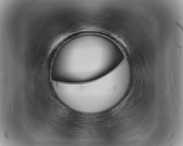 X0000099431311200805090718
