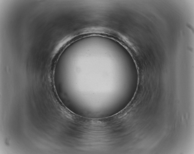 X0000099431312200805090718