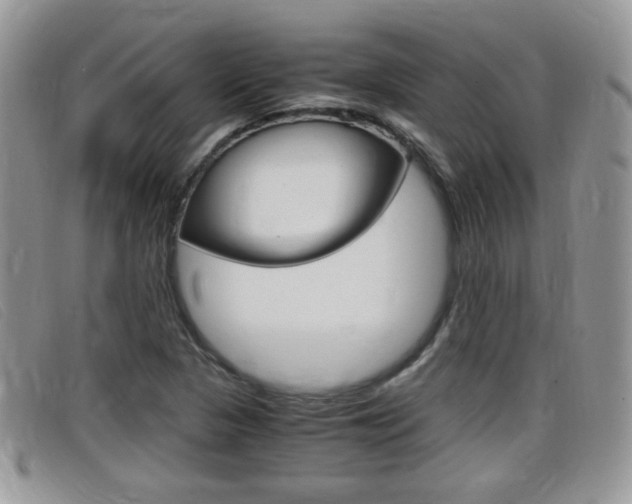 X0000099431313200805090718