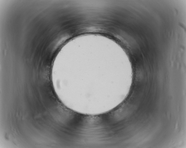 X0000099431314200805090718