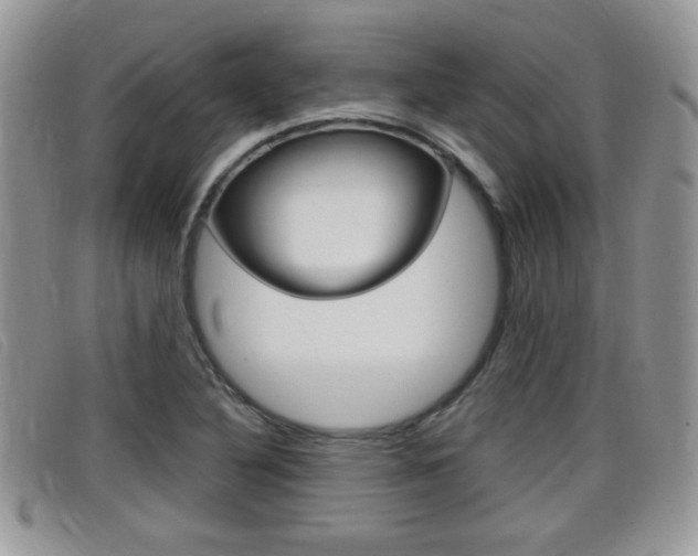 X0000099431316200805090718