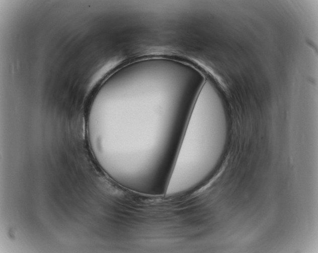 X0000099431317200805090718