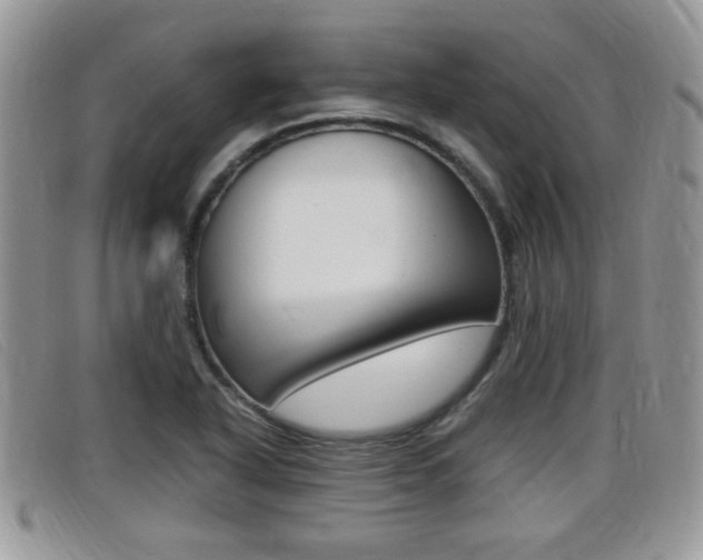 X0000099431318200805090718