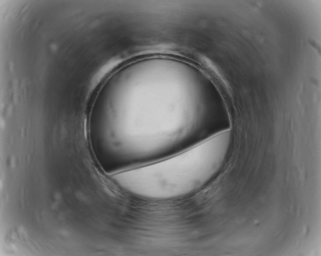X0000099431320200805090718