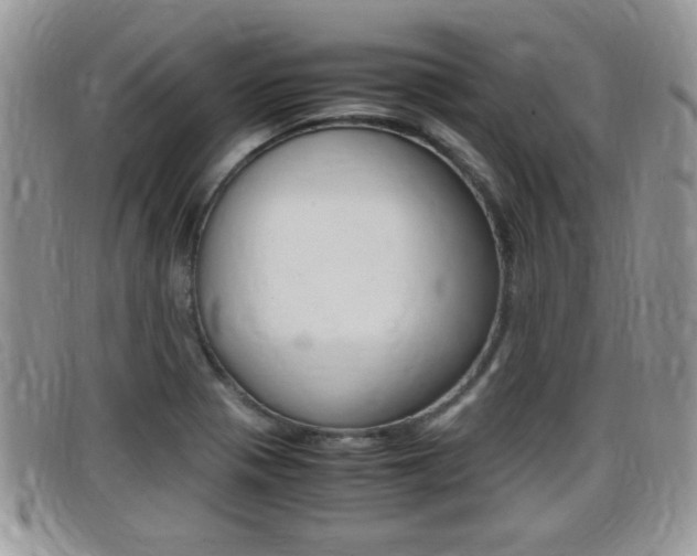 X0000099431321200805090718