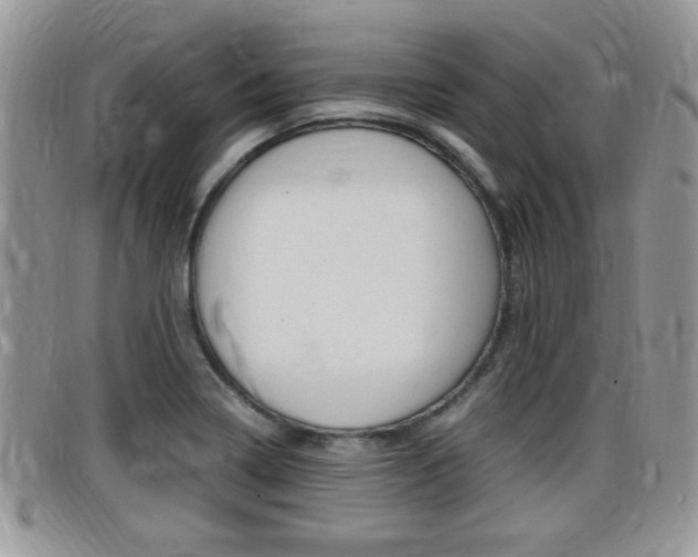 X0000099431322200805090718