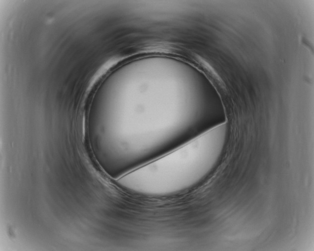 X0000099431323200805090718
