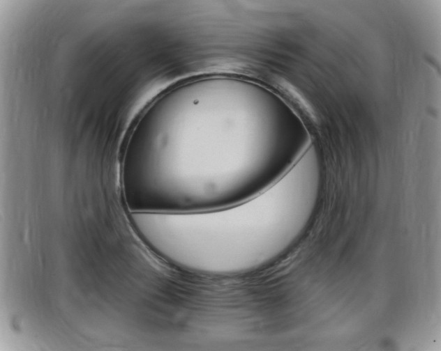 X0000099431324200805090718