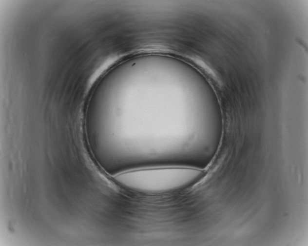 X0000099431325200805090718